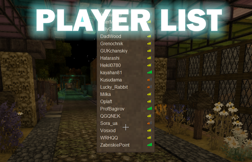 PLAYER LIST MOD